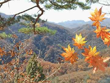 紫竹药业打胎药网购强震过后 德雷克海峡余震频发