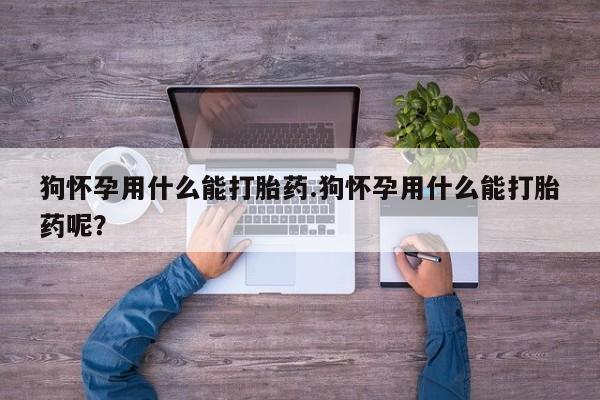 紫竹药业打胎药网购狗怀孕用什么能打胎药.狗怀孕用什么能打胎药呢？