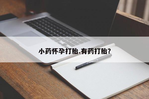 紫竹药业打胎药网购小药怀孕打胎.有药打胎？
