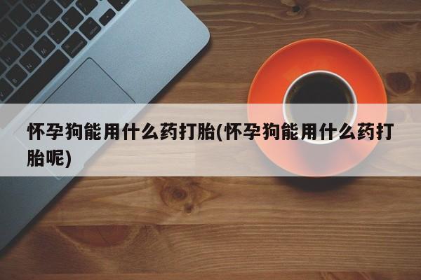 紫竹药业打胎药网购怀孕狗能用什么药打胎(怀孕狗能用什么药打胎呢)