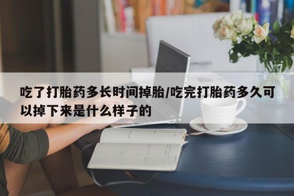 紫竹药业打胎药网购吃了打胎药多长时间掉胎/吃完打胎药多久可以掉下来是什么样子的